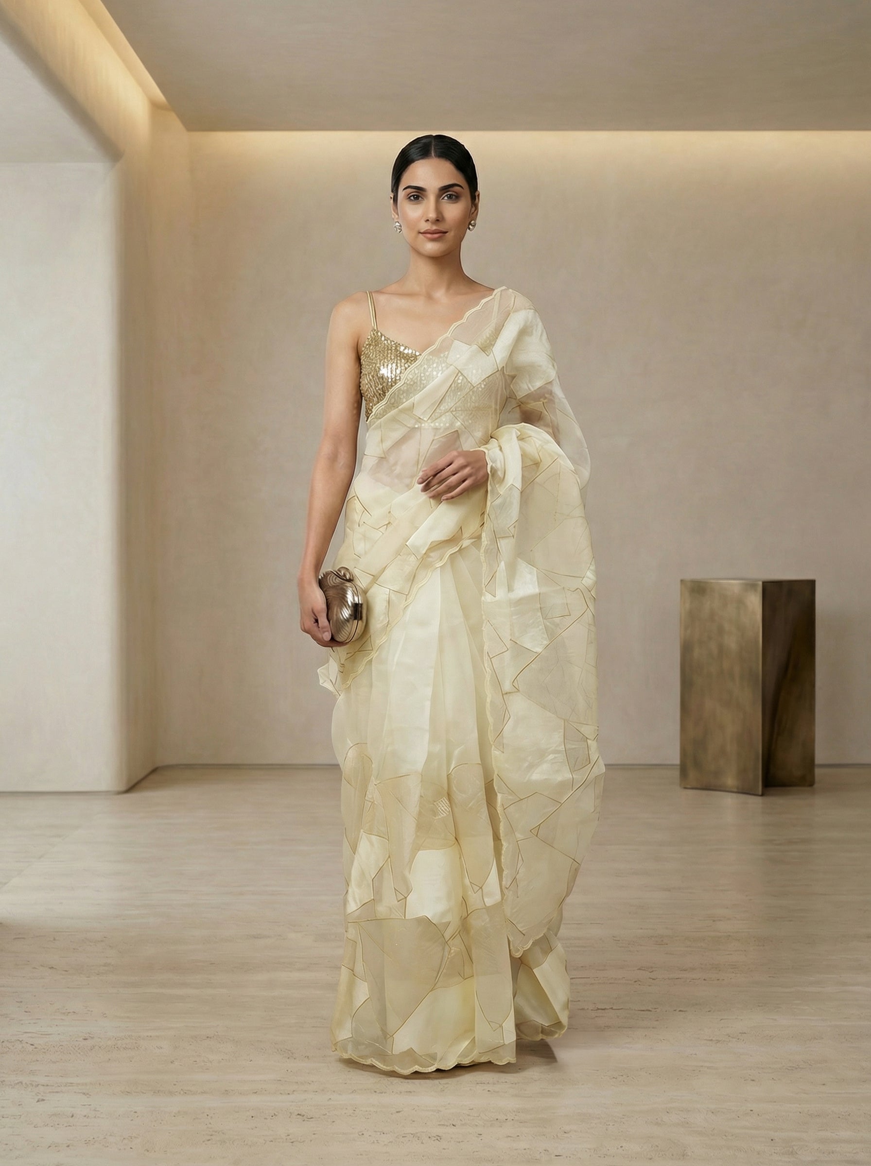 Organza Cream Geometric Design Saree