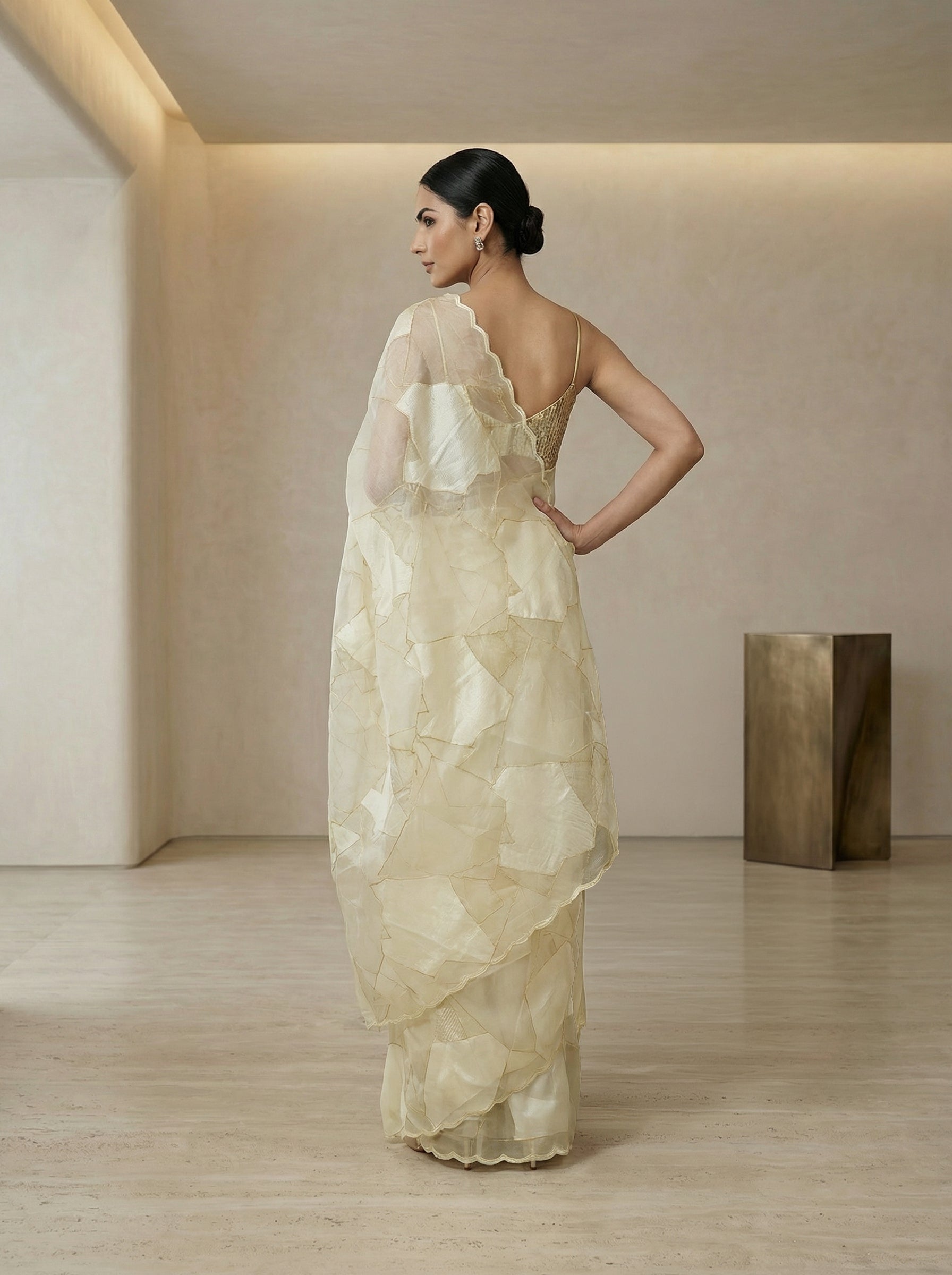 Organza Cream Geometric Design Saree