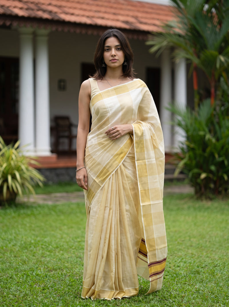 Woman in a traditional saree standing outdoors on grass