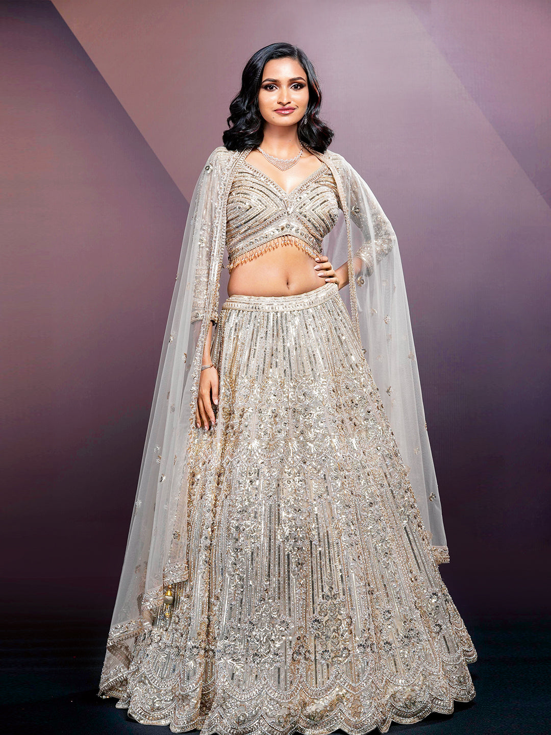 Zig Zag With Sequence Design Silver Stone Lehenga